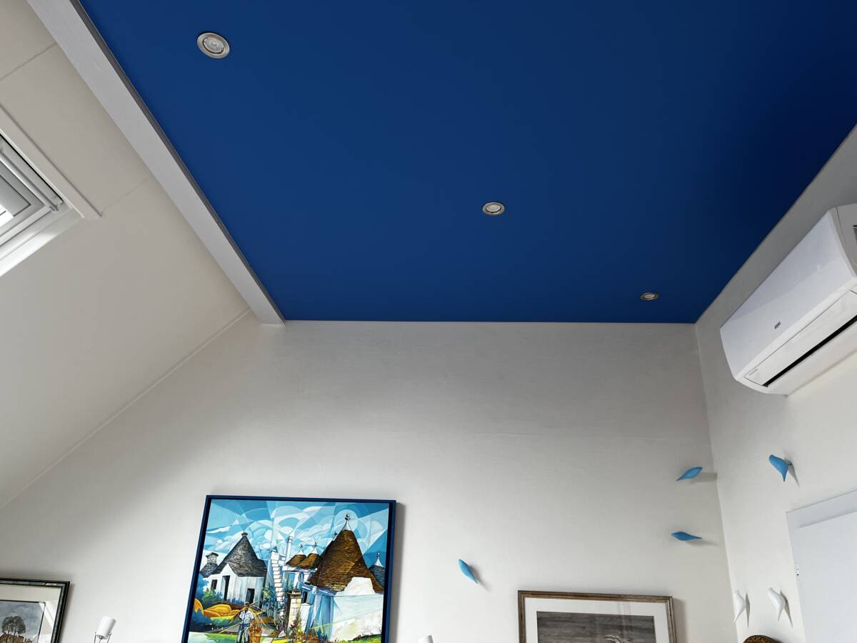 IMG_1664 | MS Habitat Plafonds colorés Woippy 7