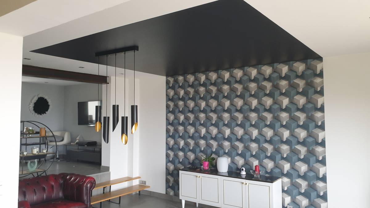 OPTIONS SPECIFICITES BANNIERE | MS Habitat Options et spécificités des plafonds tendus à Nancy et Saint-Avold en Moselle Forbach